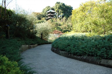 文京区 庭園